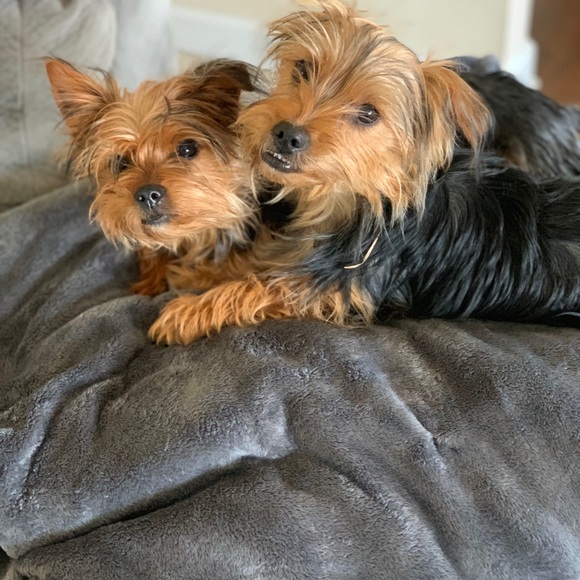 Meet your Posher, Tina - Picture 1 of 1